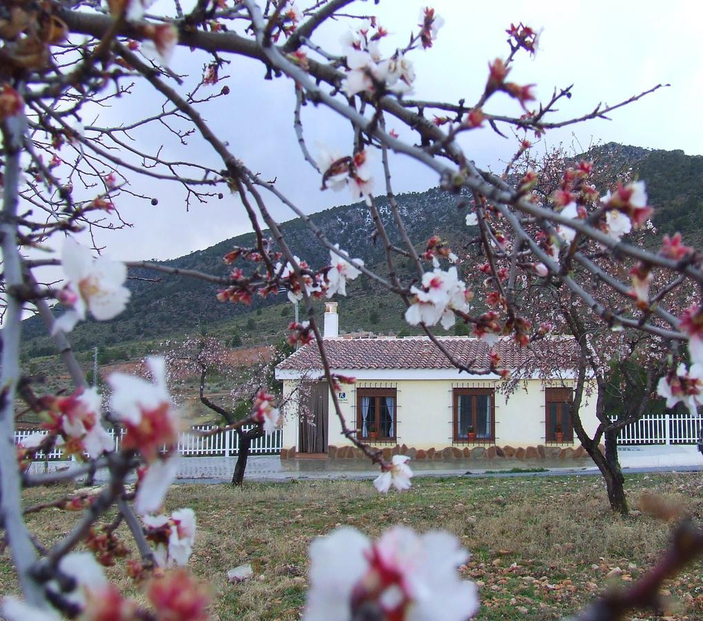 Hostal Vivienda Rural Embalse San Clemente Huéscar Exterior foto